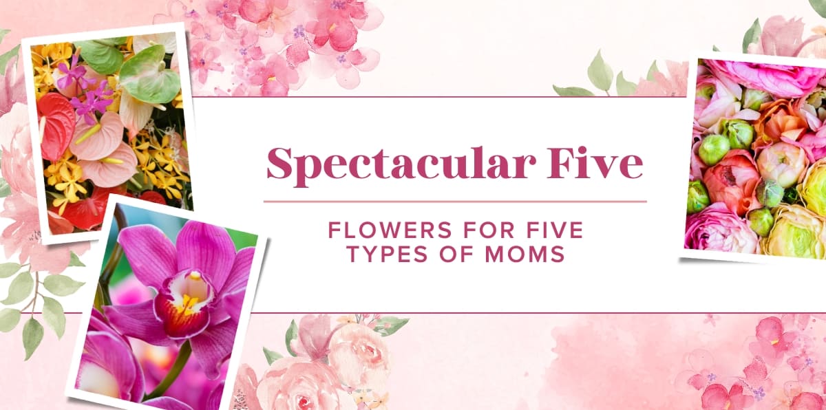 Five Perfect Flowers For Every Type of Mother Rose Bud Flowers Rose